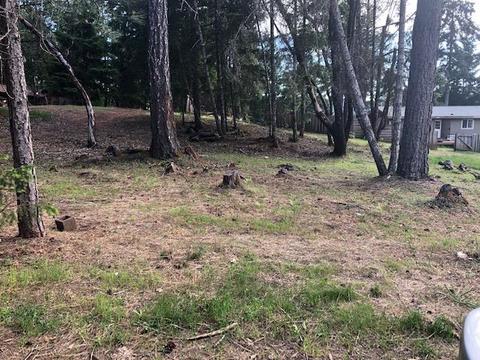 1521 Padula Dr, Willits, CA 95490 photo 1