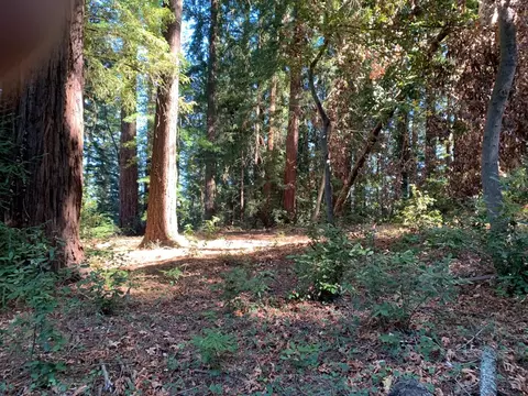 01 Santa Ana Rd, Los Gatos, CA 95033