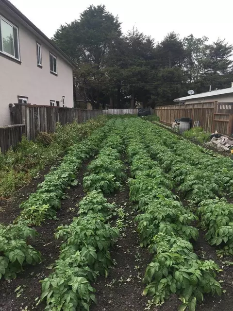 547 Myrtle St, Half Moon Bay, CA 94019