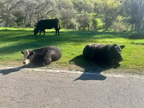 0 Moccasin Ranch Rd, La Grange, CA 95329