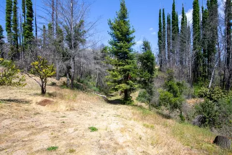 1300 Pinecrest Dr, Boulder Creek, CA 95006 photo 10