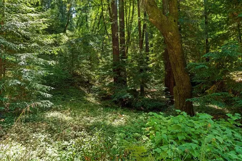 0 Hoover Rd, Soquel, CA 95073 photo 8