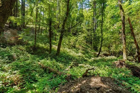 0 Hoover Rd, Soquel, CA 95073 photo 21