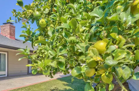 29 Alameda Pl, Salinas, CA 93901 photo 45