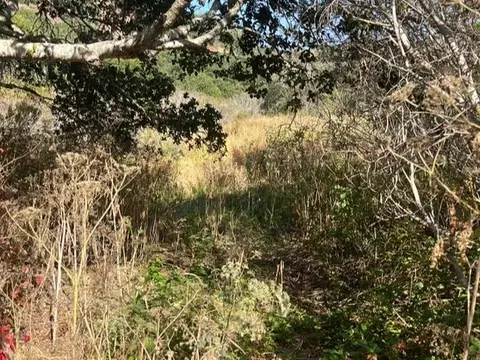0 Laureles Grade, Salinas, CA 93908 photo 5