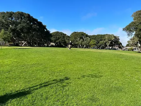 1103 Mcclellan Ave, Monterey, CA 93940 photo 28