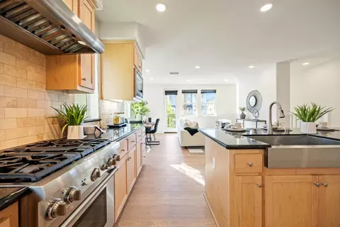 213 Baja Rose St, Milpitas, CA 95035 photo 8