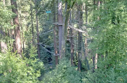 Other - 79 Pine Ave, Mount Hermon, CA 95041 photo 4 of 4