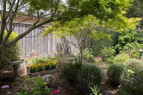 26416 Carmelo St, Carmel, CA 93923 photo 13