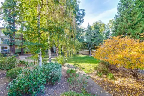 1033 Crestview Dr 111, Mountain View, CA 94040 photo 36