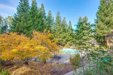 1033 Crestview Dr 111, Mountain View, CA 94040 photo 29