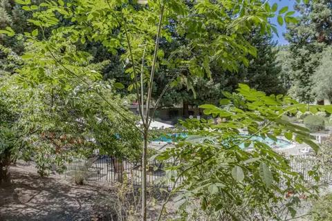1033 Crestview Dr 111, Mountain View, CA 94040 photo 38