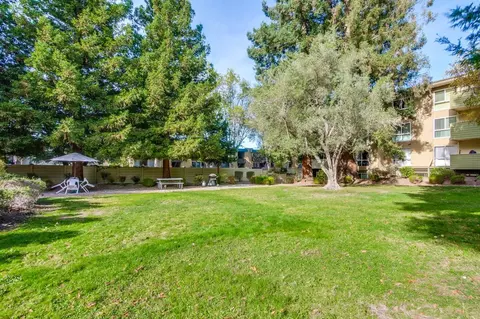 1033 Crestview Dr 111, Mountain View, CA 94040 photo 34