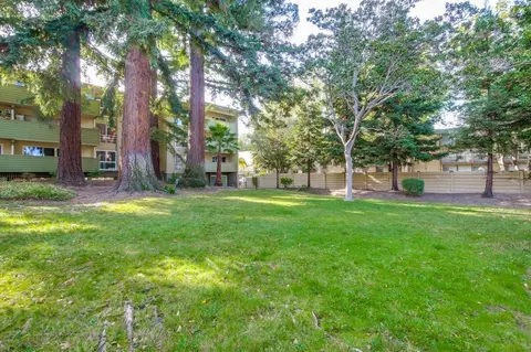 1033 Crestview Dr 111, Mountain View, CA 94040 photo 35