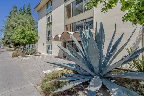 1033 Crestview Dr 111, Mountain View, CA 94040 photo 43