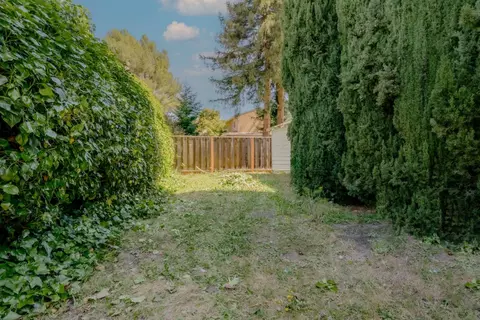 1204 Farley St, Mountain View, CA 94043 photo 3