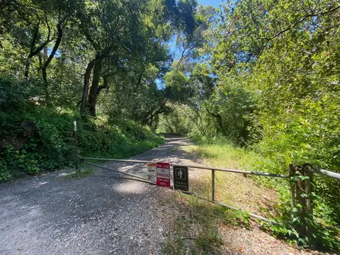 266 Laguna Dr, La Honda, CA 94020 photo 29