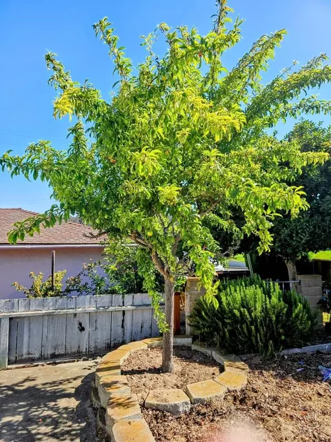 1783 Juarez St, Seaside, CA 93955 photo 42