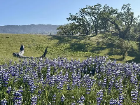8 Touche Pass, Carmel, CA 93923 photo 16