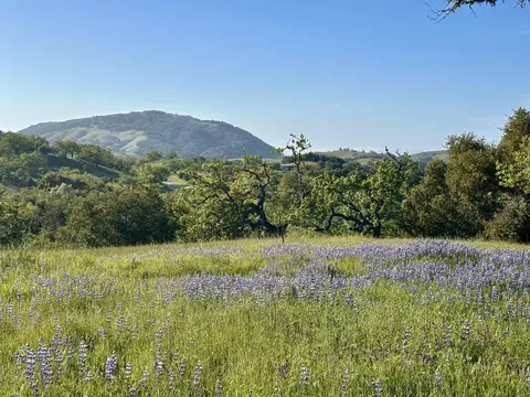 8 Touche Pass, Carmel, CA 93923 photo 12