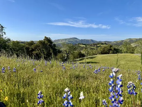 8 Touche Pass, Carmel, CA 93923 photo 2