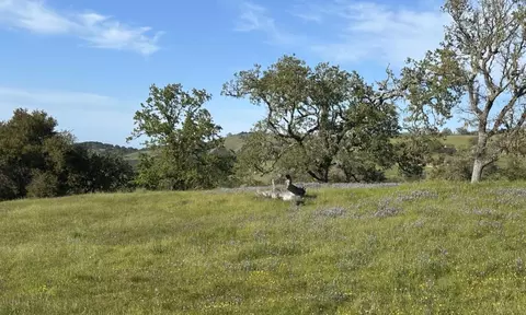 8 Touche Pass, Carmel, CA 93923 photo 17