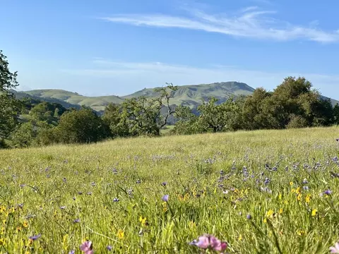 8 Touche Pass, Carmel, CA 93923 photo 3