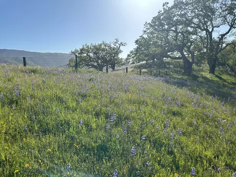 8 Touche Pass, Carmel, CA 93923 photo 10