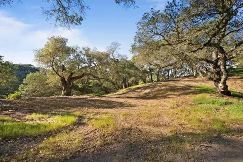 3533 Springhill Rd, Lafayette, CA 94549 photo 6