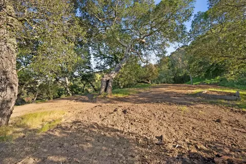 3533 Springhill Rd, Lafayette, CA 94549 photo 14