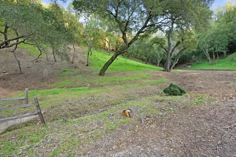 3533 Springhill Rd, Lafayette, CA 94549 photo 8