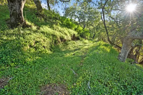 3533 Springhill Rd, Lafayette, CA 94549 photo 17