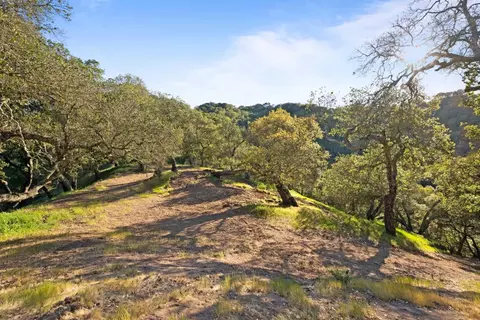 3533 Springhill Rd, Lafayette, CA 94549 photo 21