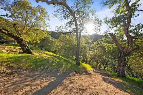 3533 Springhill Rd, Lafayette, CA 94549 photo 7