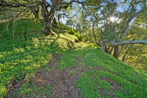 3533 Springhill Rd, Lafayette, CA 94549 photo 16