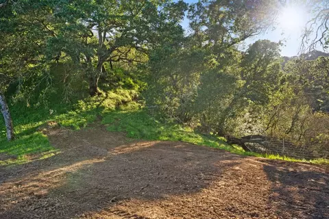 3533 Springhill Rd, Lafayette, CA 94549 photo 18