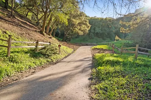 3533 Springhill Rd, Lafayette, CA 94549 photo 19