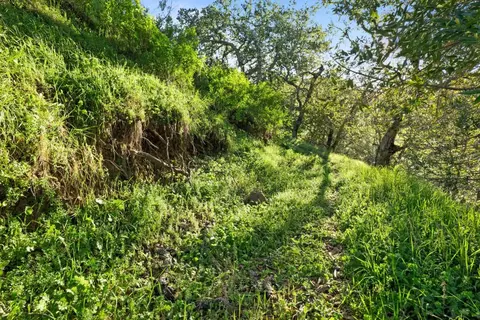 3533 Springhill Rd, Lafayette, CA 94549 photo 9