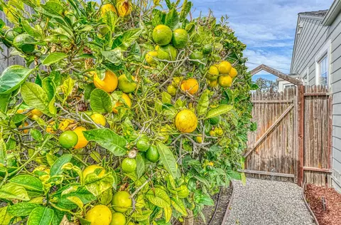 29 Talbot St, Salinas, CA 93901 photo 38