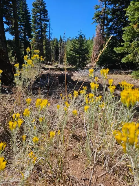 0 Prospect Rd, Alturas, CA 96101 photo 6