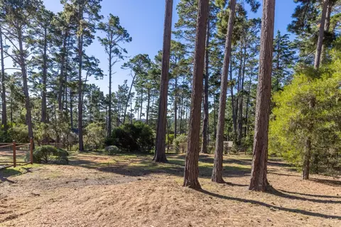 1424 Oleada Rd, Pebble Beach, CA 93953 photo 25