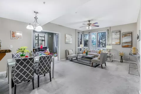 1101 S Main St 211, Milpitas, CA 95035 photo 6