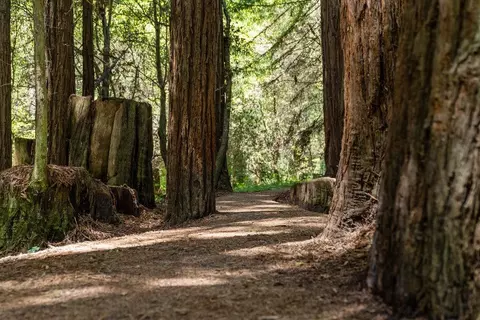 Other - 500 Valencia School Rd, Aptos, CA 95003 photo 14 of 15