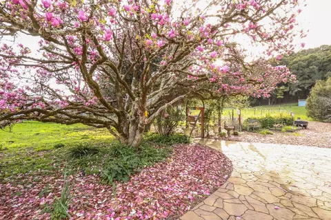 3247 Old San Jose Rd, Soquel, CA 95073 photo 25