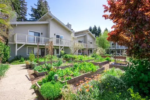 128 Grant St, Santa Cruz, CA 95060