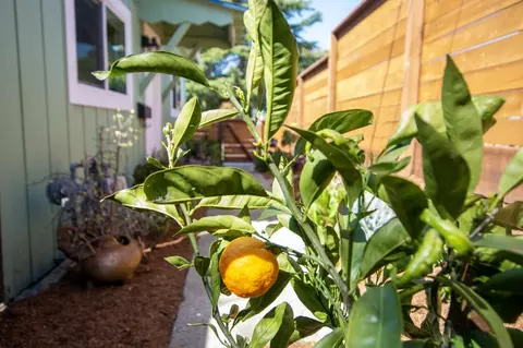 311 Mar Vista Ave, Aptos, CA 95003 photo 44