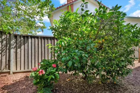 669 Calle Del Prado, Milpitas, CA 95035 photo 43