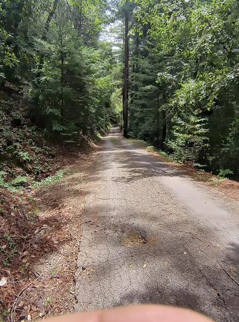 1380 Amaya Ridge Rd, Soquel, CA 95073 photo 34