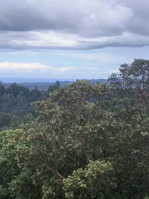 1380 Amaya Ridge Rd, Soquel, CA 95073 photo 19