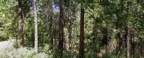 166 Higdon Rd, West Point, CA 95255